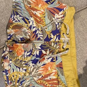 Patagonia Board Short